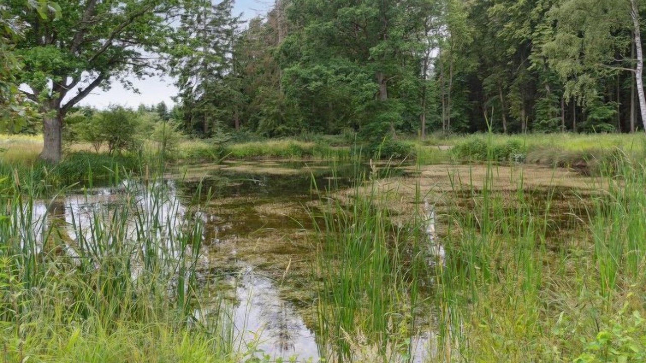 Photo of Outdoor in Lolland Municipality
