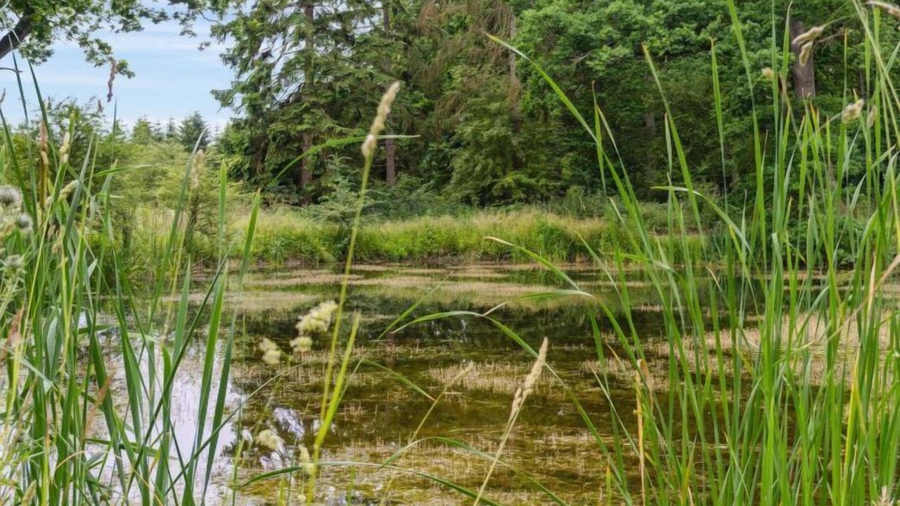 Photo of Outdoor in Lolland Municipality