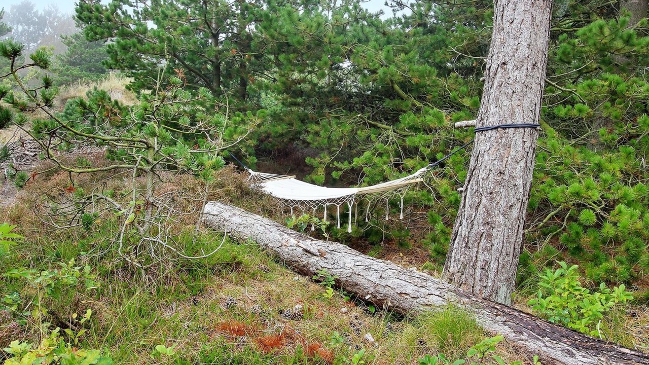 Photo of Outdoor in Rømø Kirkeby