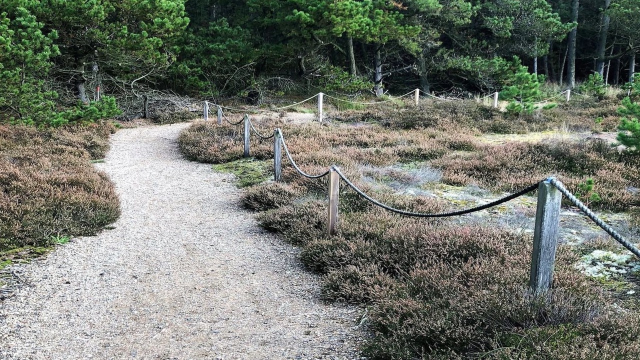 Photo of Outdoor in Rømø Kirkeby