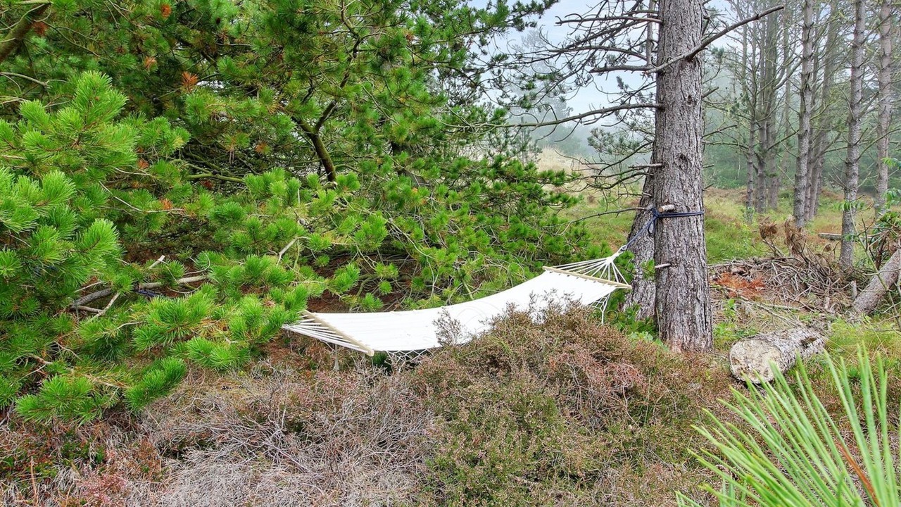 Photo of Outdoor in Rømø Kirkeby