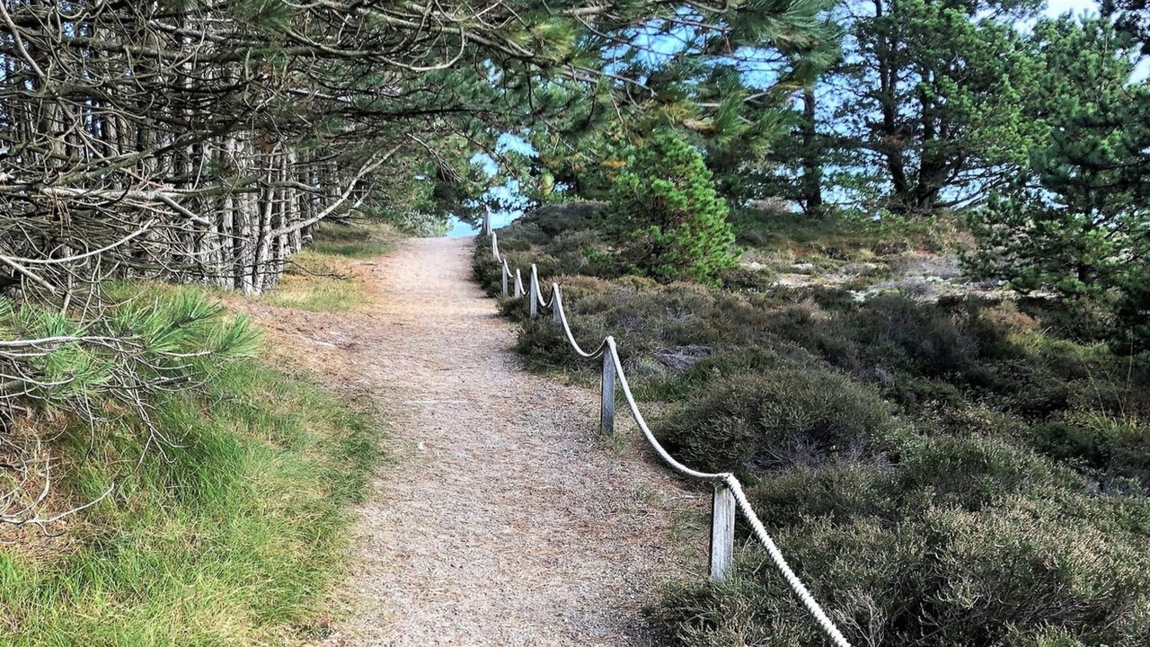 Photo of Outdoor in Rømø Kirkeby