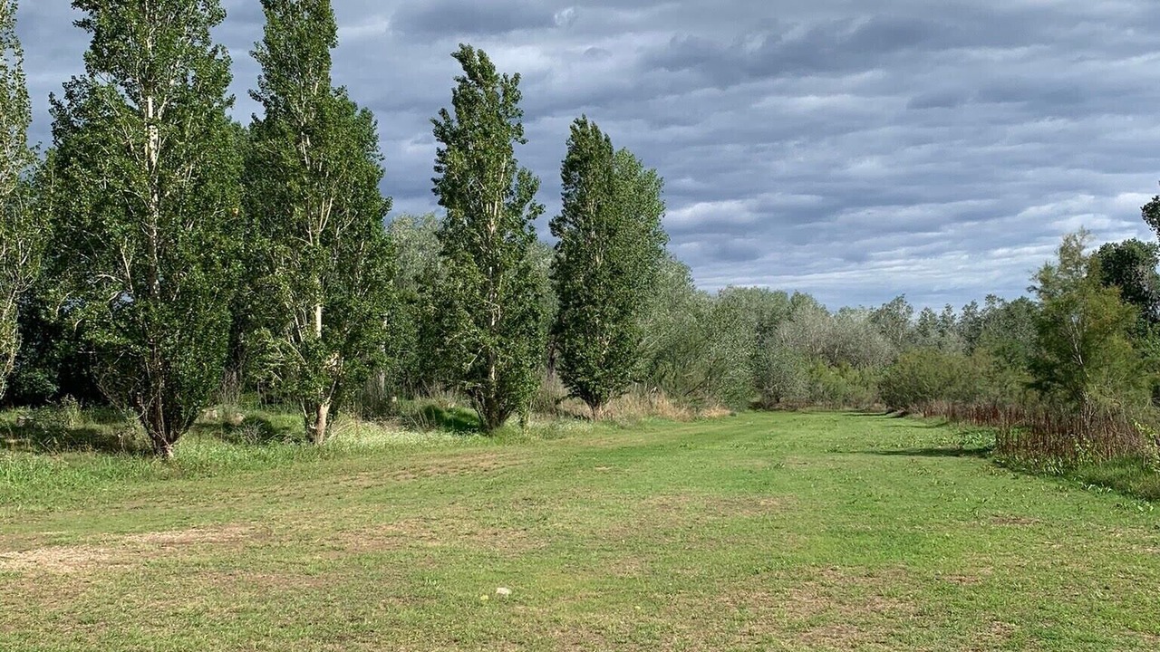 Photo of Others in Aldover