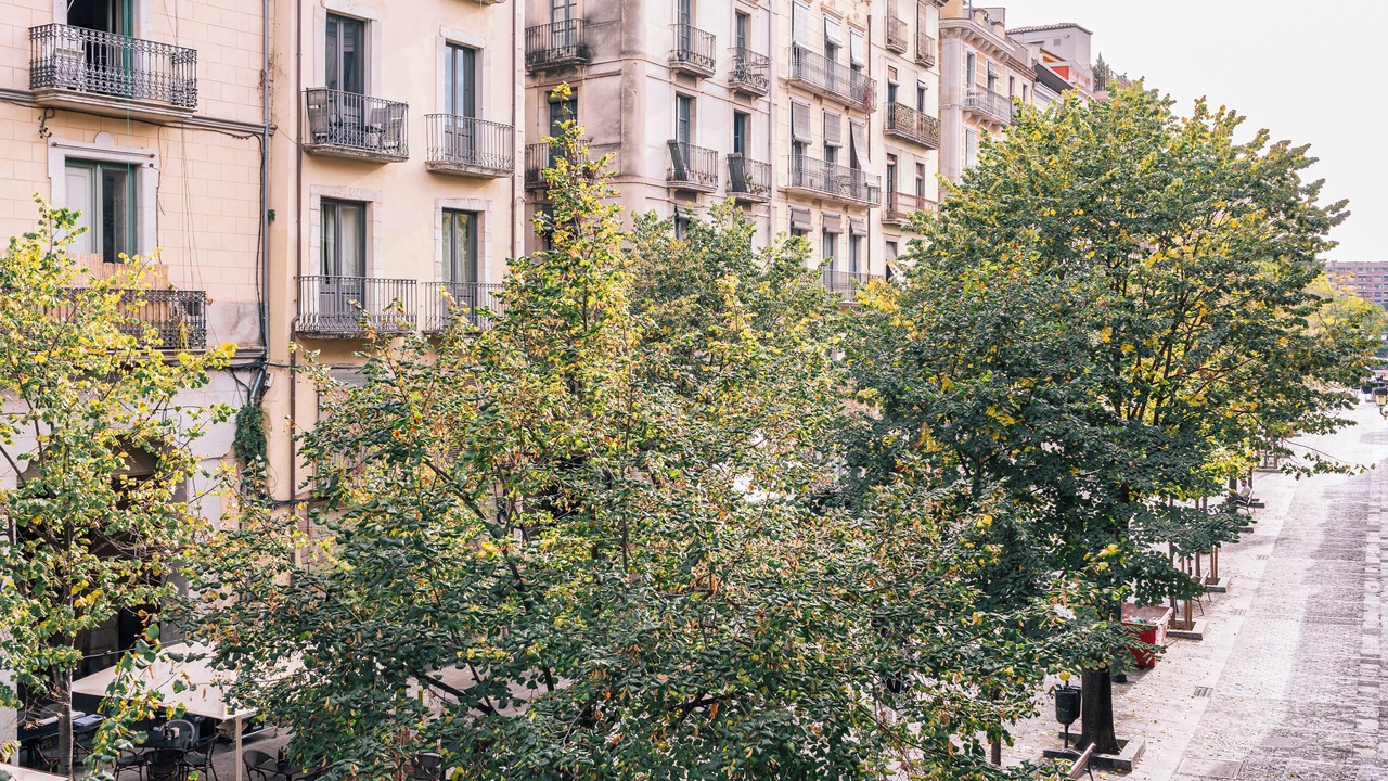Photo of Others in el Mercadal