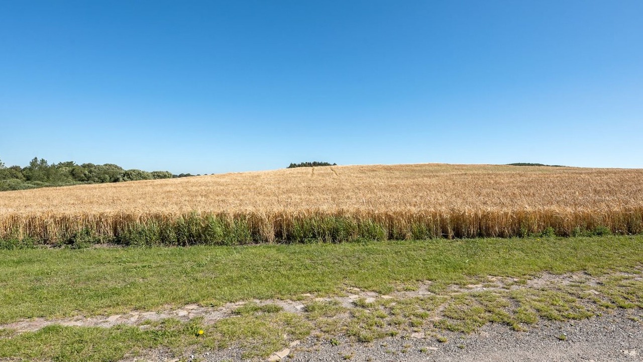 Photo of Outdoor in Humble