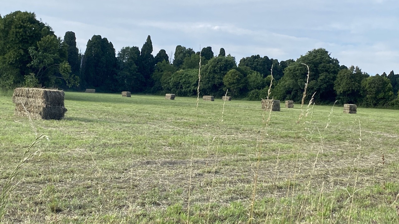 Photo of Others in Salon-de-Provence