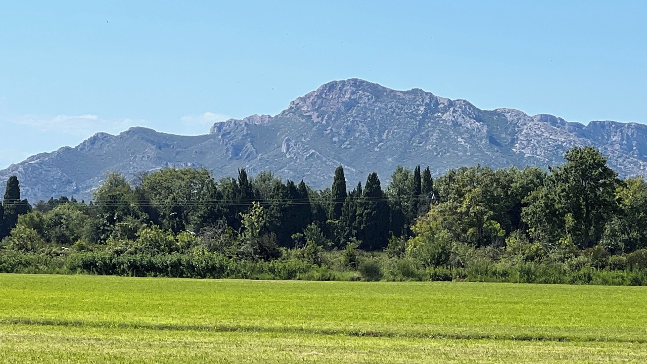 Photo of Others in Salon-de-Provence