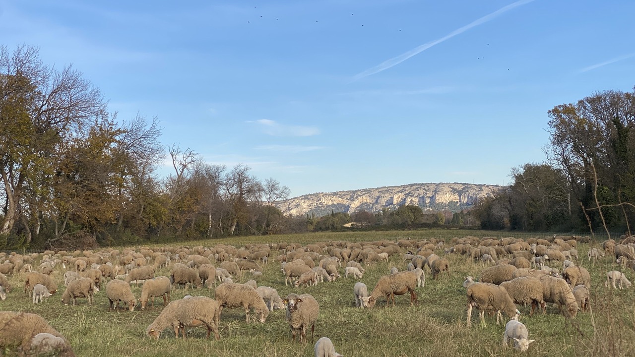 Photo of Outdoor in Salon-de-Provence