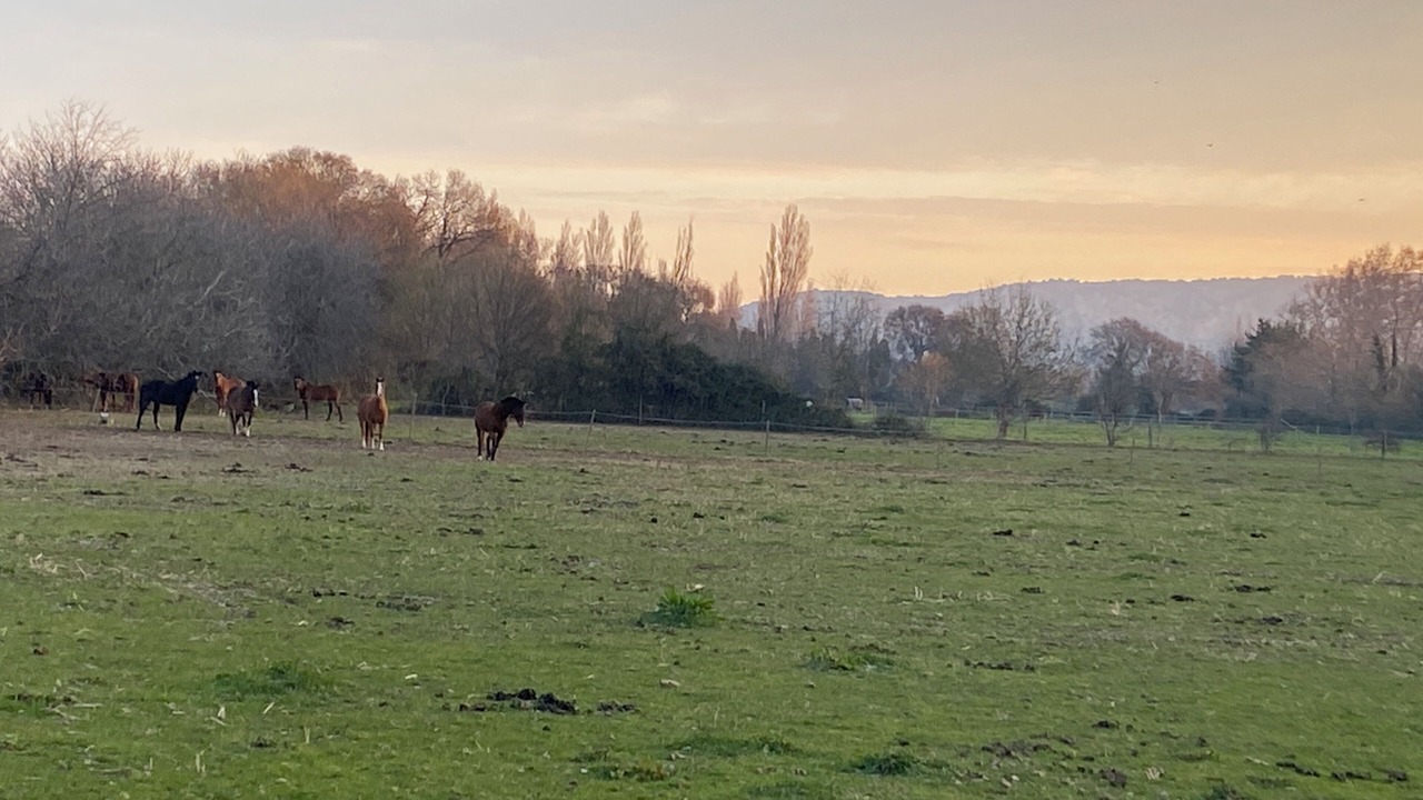 Photo of Others in Salon-de-Provence