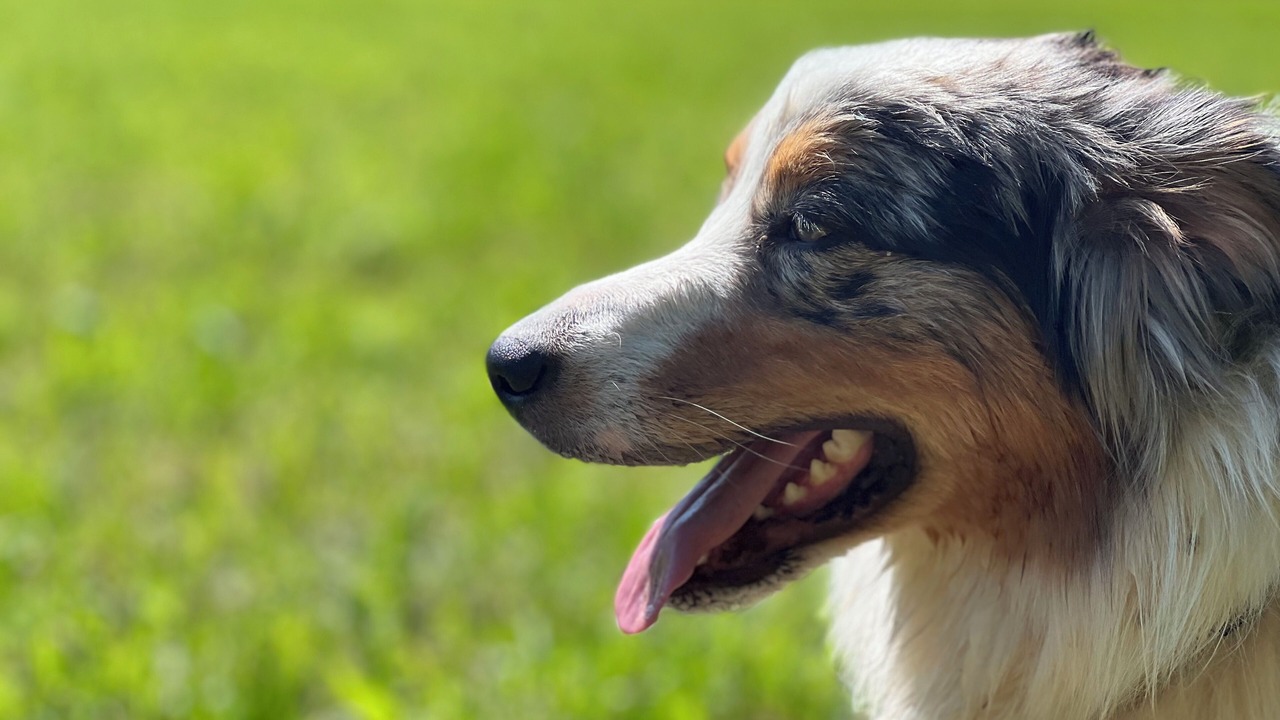 Photo of Others in Salon-de-Provence