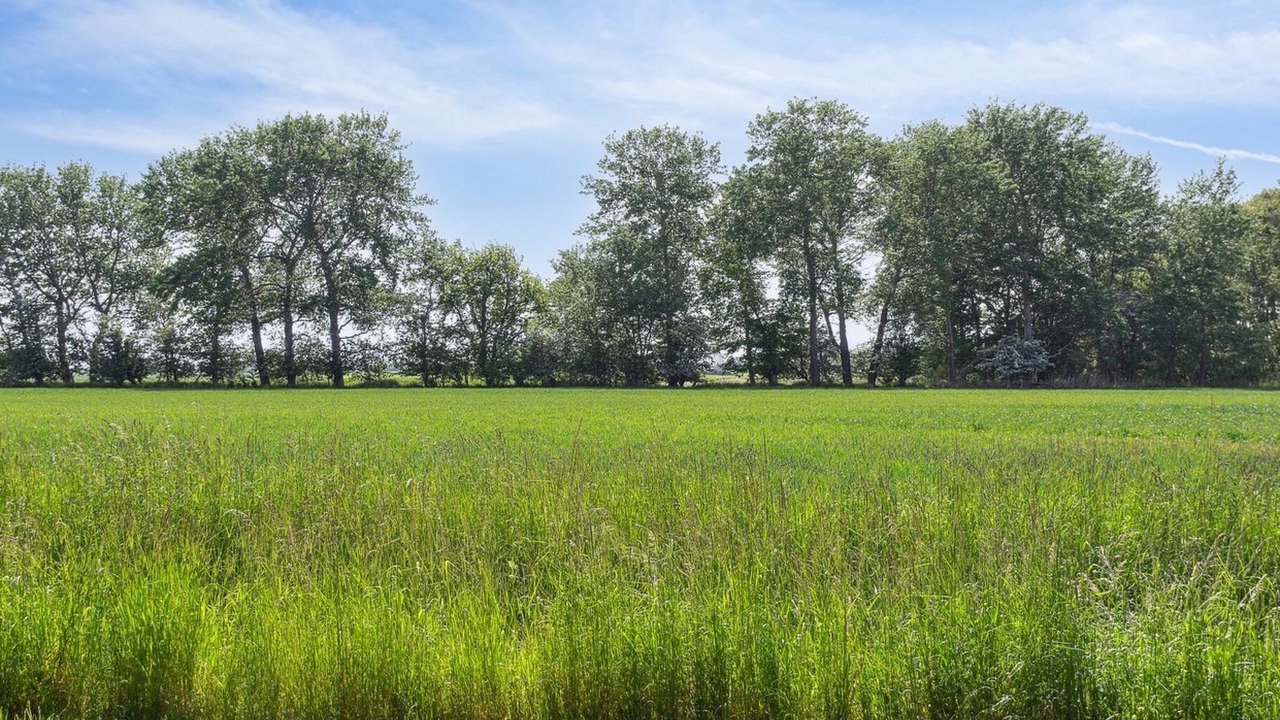 Photo of Outdoor in Gedesby