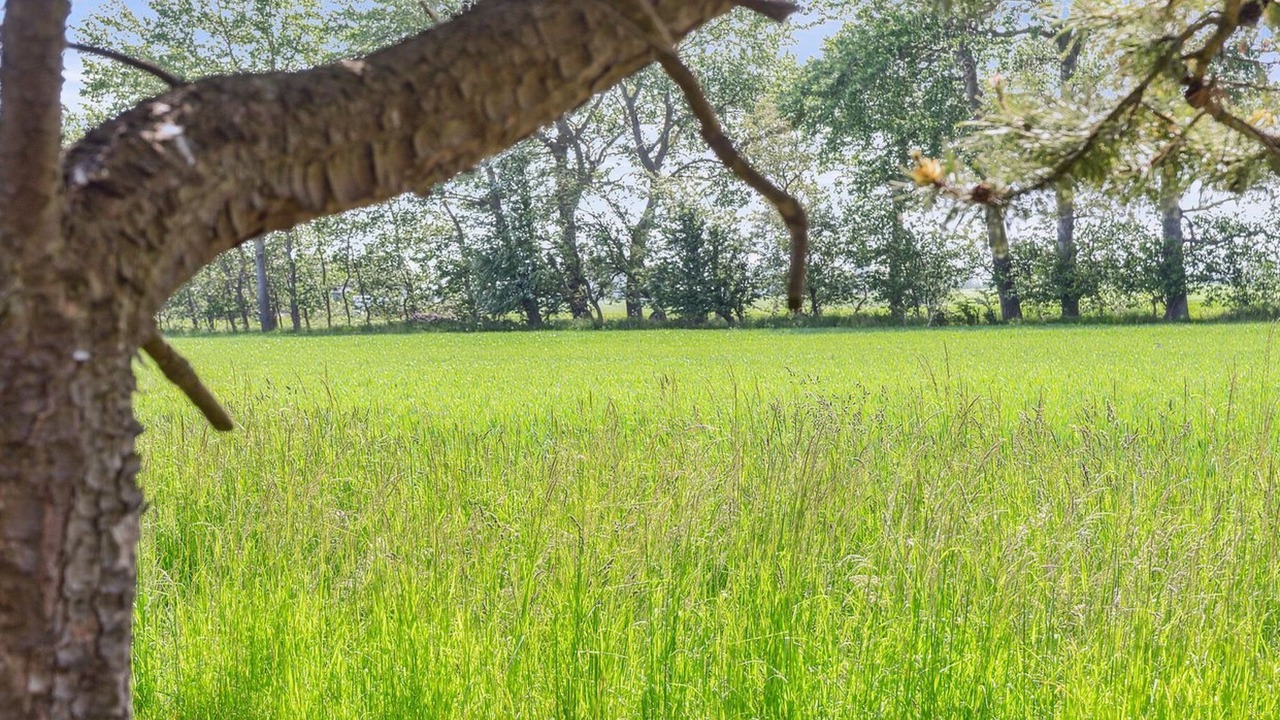 Photo of Outdoor in Gedesby