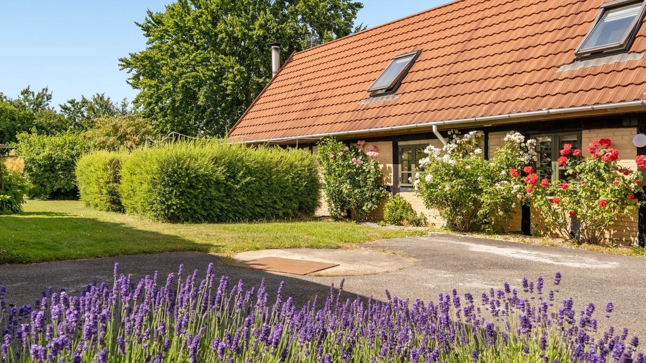 Photo of Others in Sollested