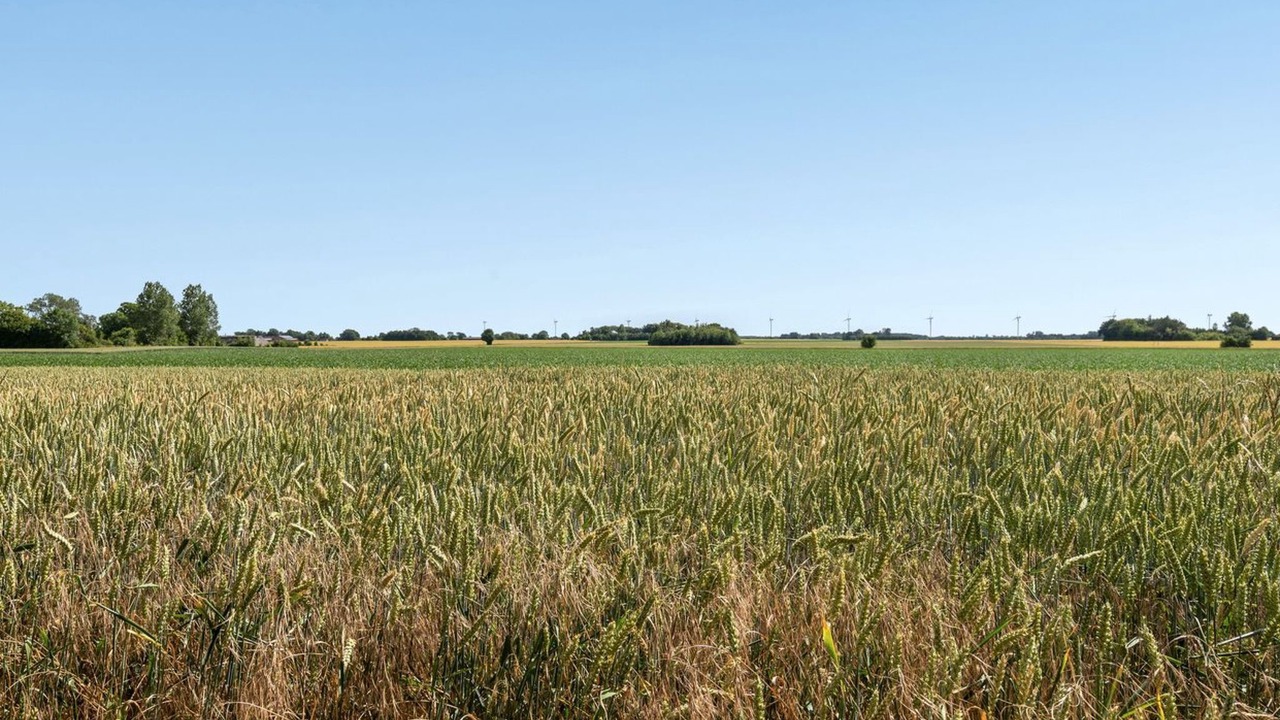 Photo of Others in Sollested