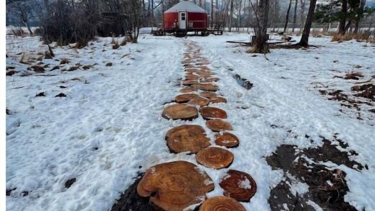 Photo of Outdoor in Victor