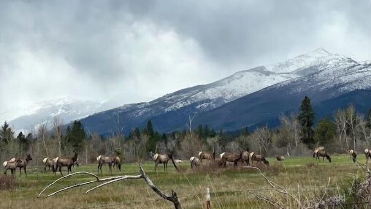 Photo of Outdoor in Victor