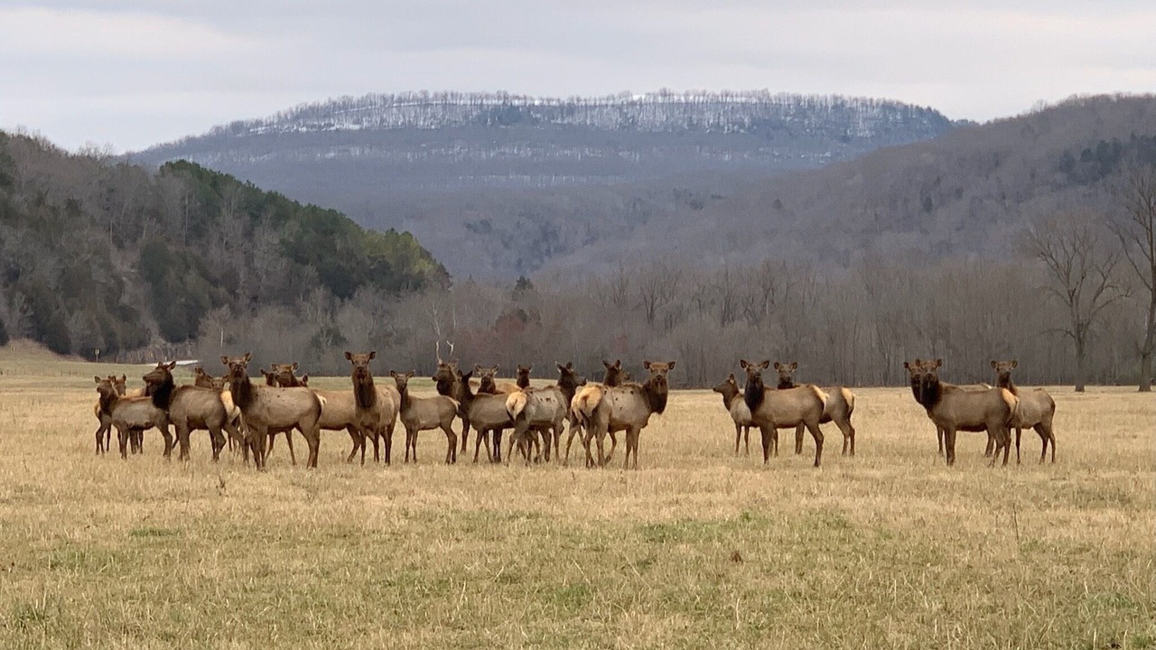 Photo of Outdoor in Ponca