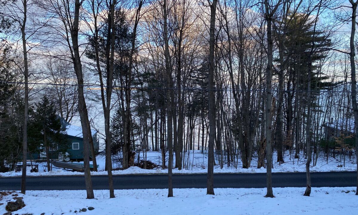 Photo of Others in Port Douglass