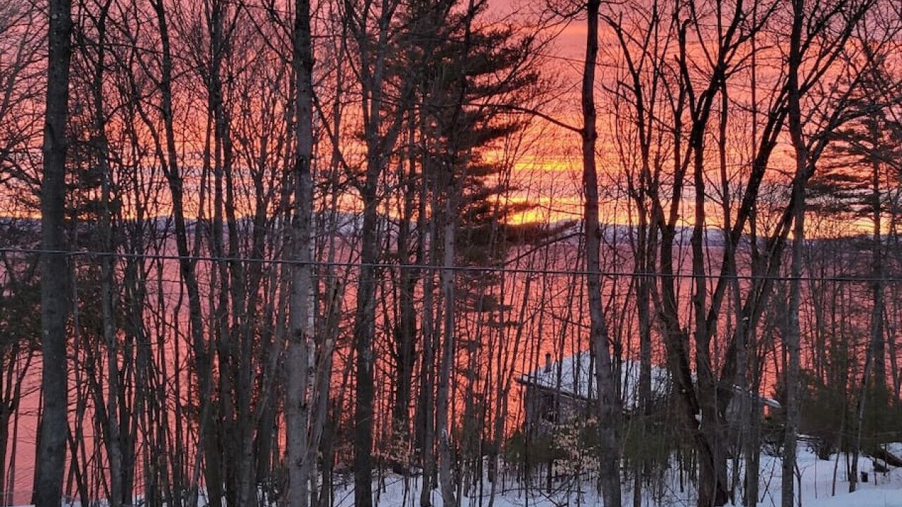 Photo of Outdoor in Port Douglass