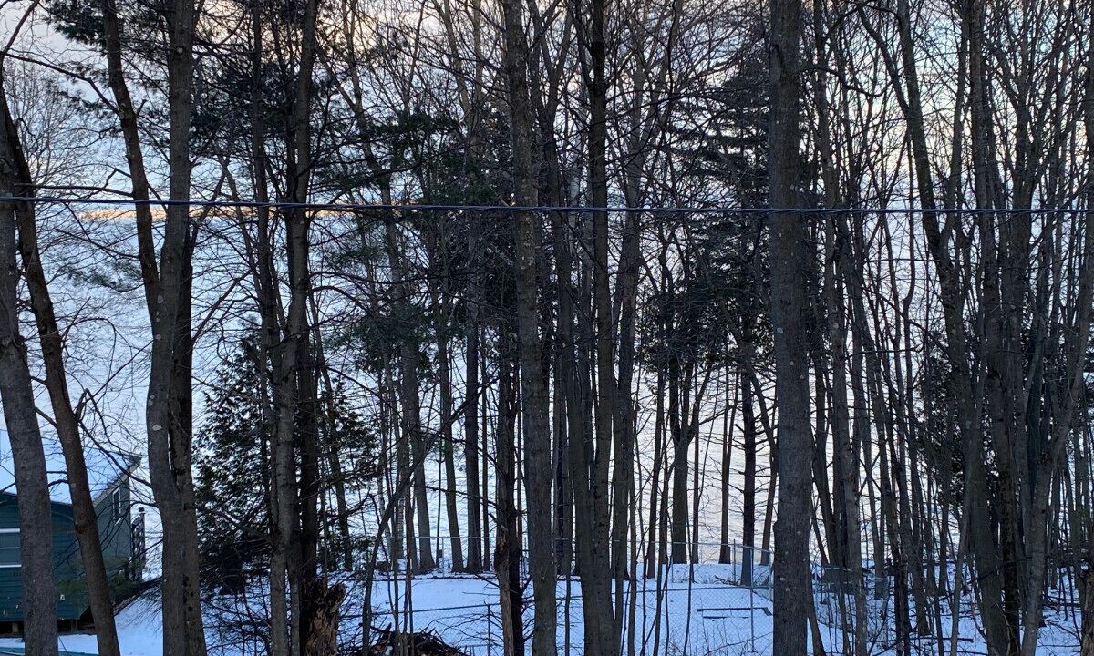 Photo of Outdoor in Port Douglass