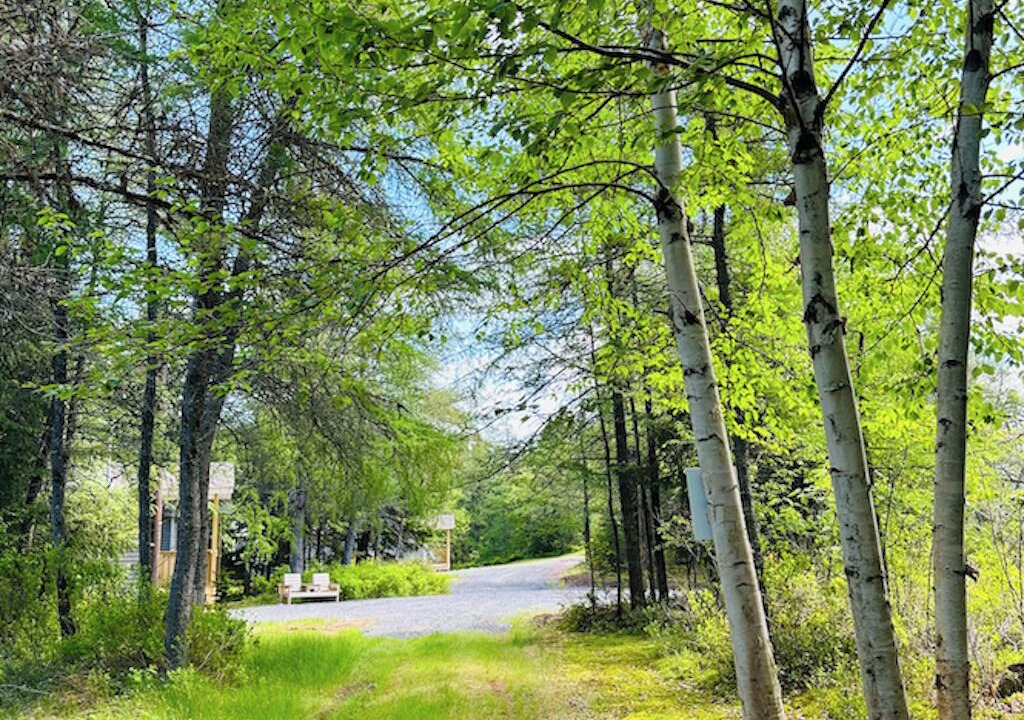 Photo of Outdoor in Port Blandford