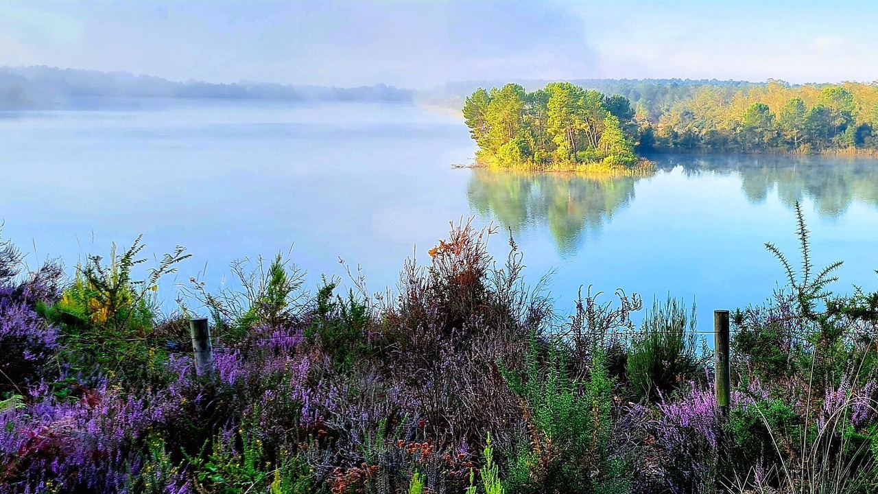 Photo of Others in Arjuzanx