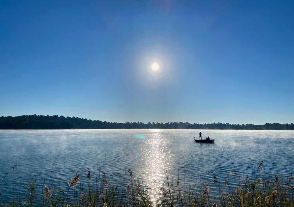 Photo of Others in Arjuzanx