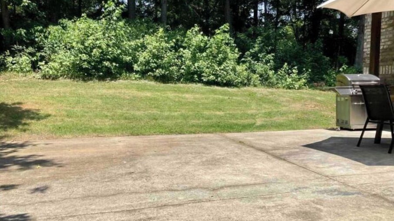 Photo of Outdoor in Roswell