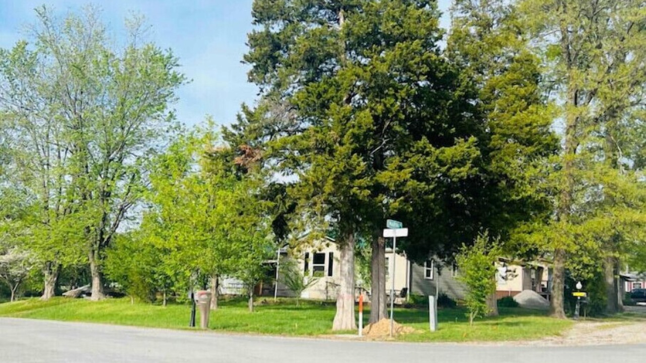 Photo of Others in Marion