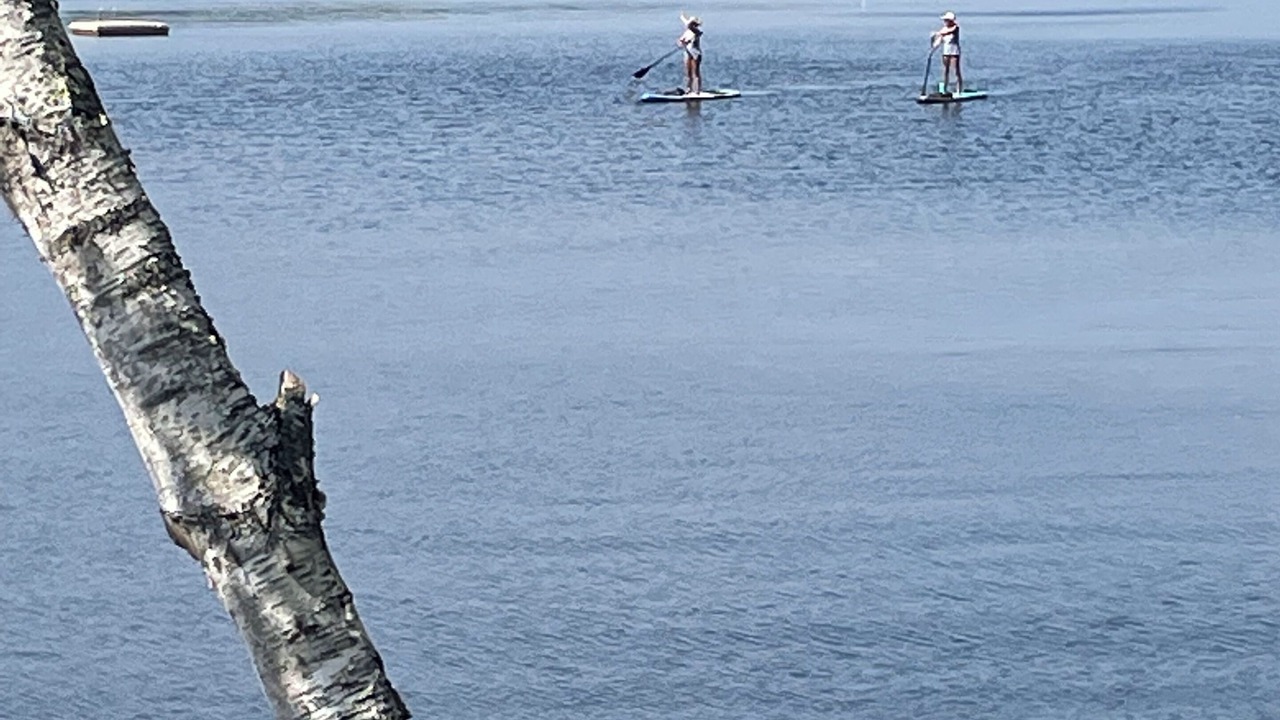 Photo of Others in Weare