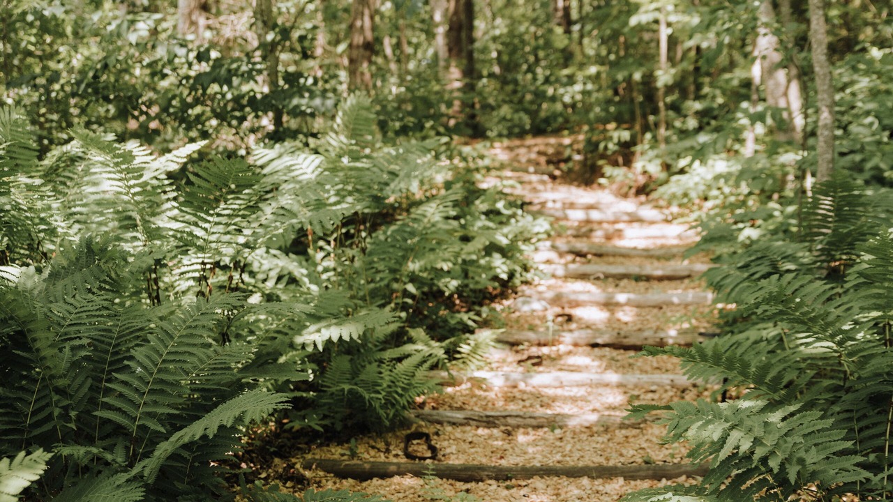 Photo of Outdoor in Liberty
