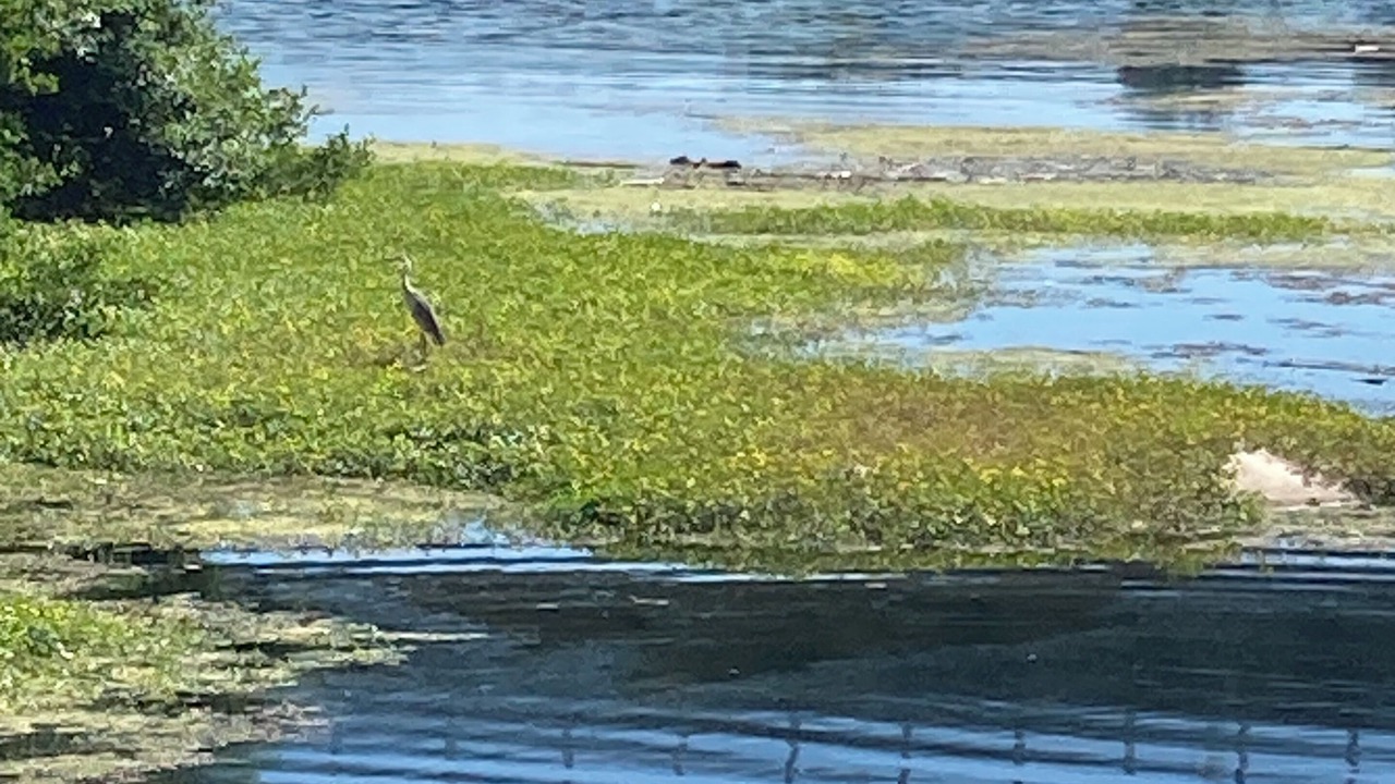 Photo of Others in Ners