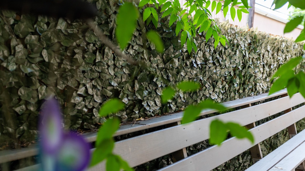 Photo of Outdoor in Garden Oaks