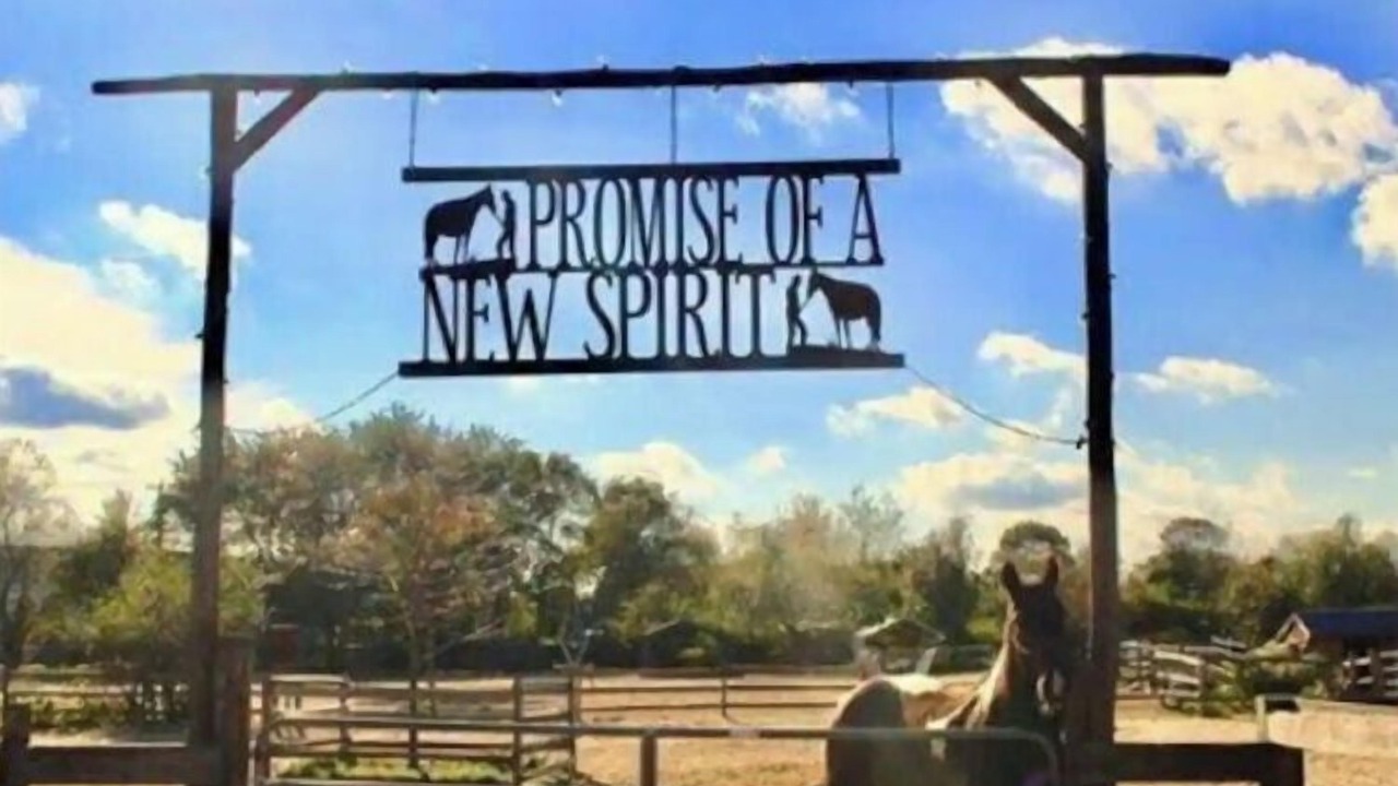 Photo of Others in Baiting Hollow