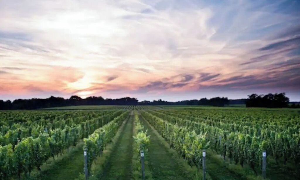 Photo of Others in Baiting Hollow