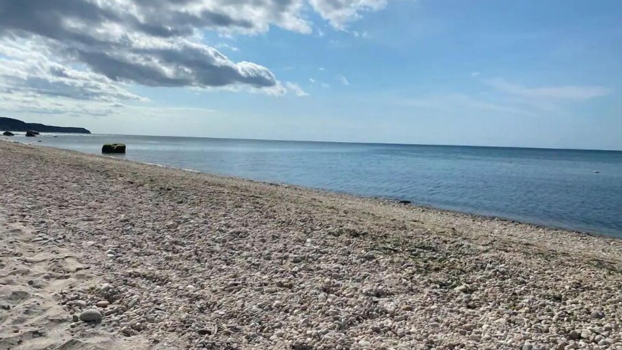 Photo of Others in Baiting Hollow