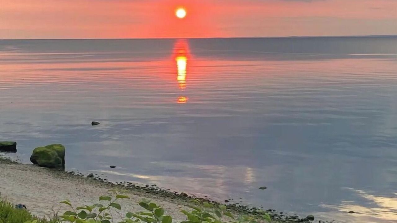 Photo of Others in Baiting Hollow