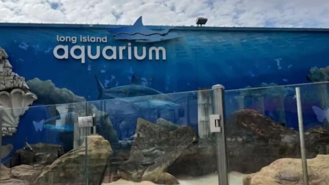 Photo of Others in Baiting Hollow