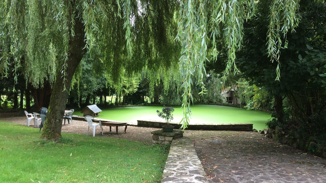 Photo of Outdoor in Gesvres