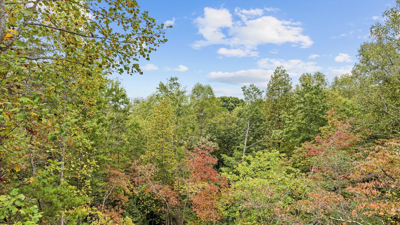 Photo of Others in My Mountain