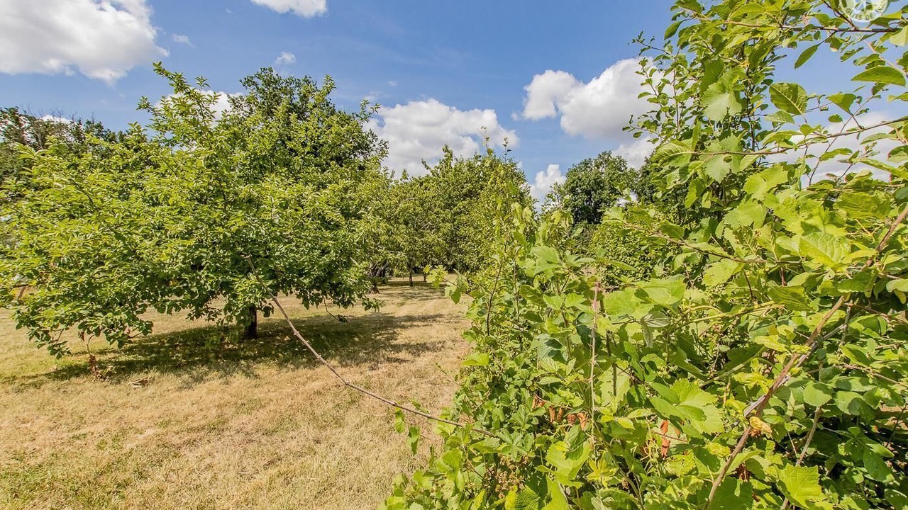 Photo of Outdoor in Joncy