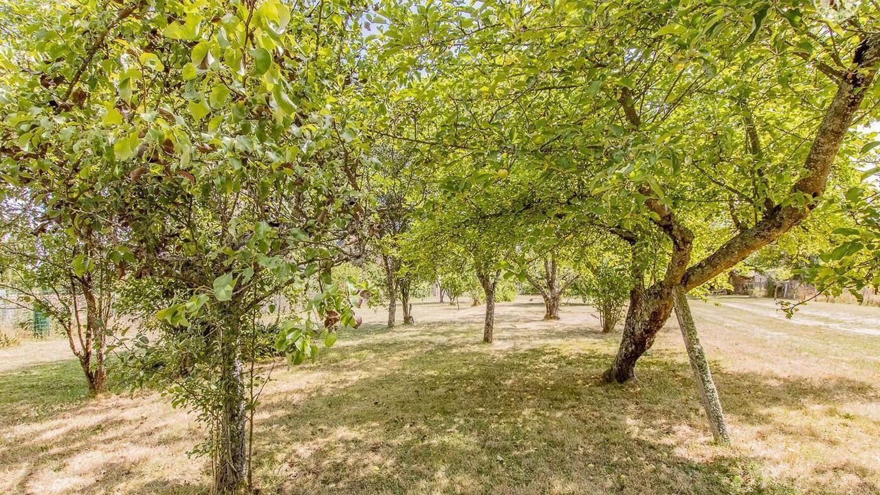 Photo of Outdoor in Joncy