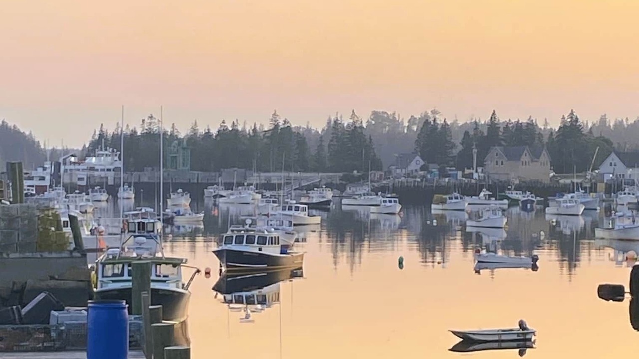 Photo of Others in Vinalhaven