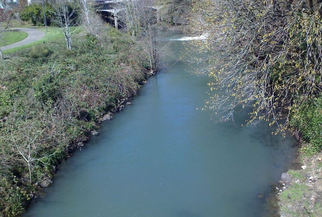 Photo of Others in Central Area