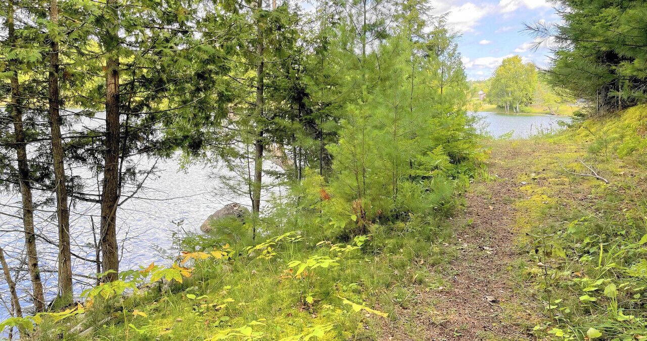 Photo of Others in L'Amable