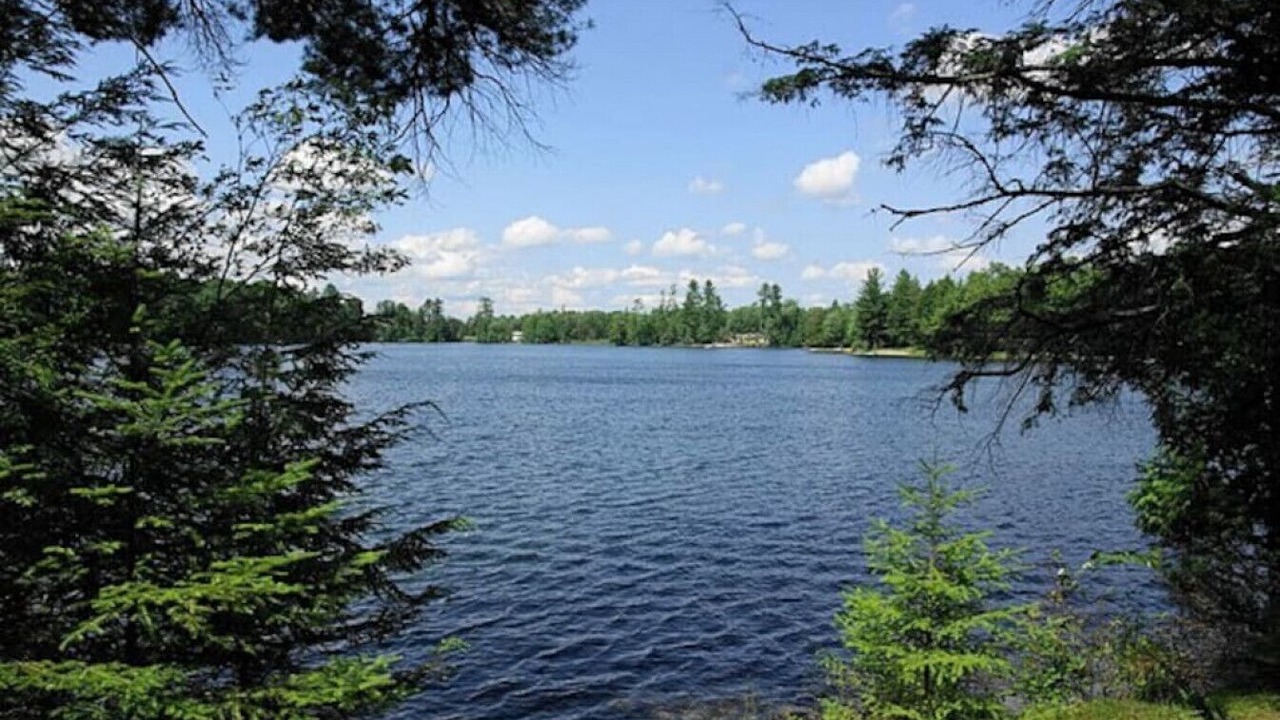 Photo of Others in L'Amable