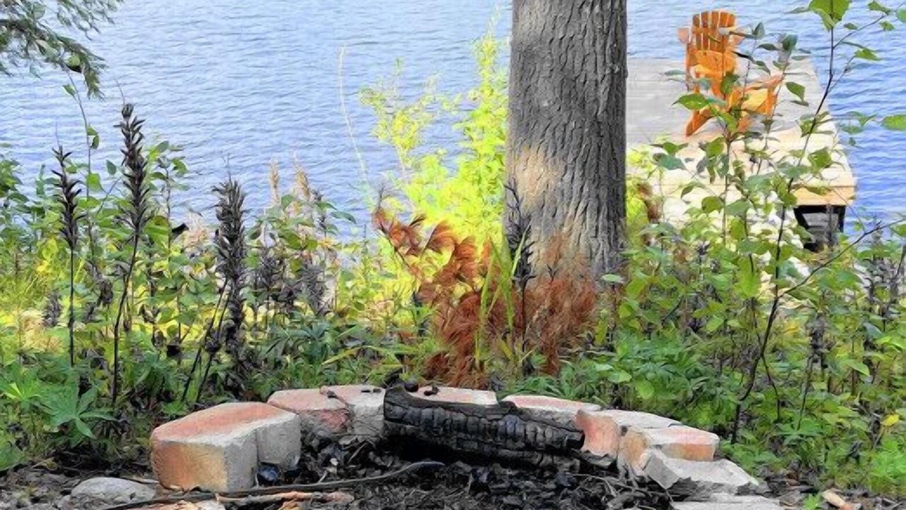 Photo of Others in L'Amable