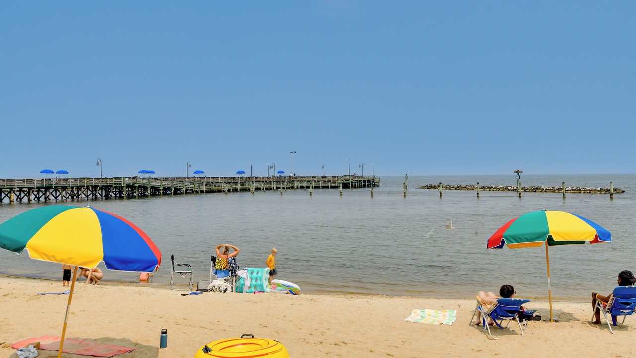 Photo of Others in Chesapeake Beach