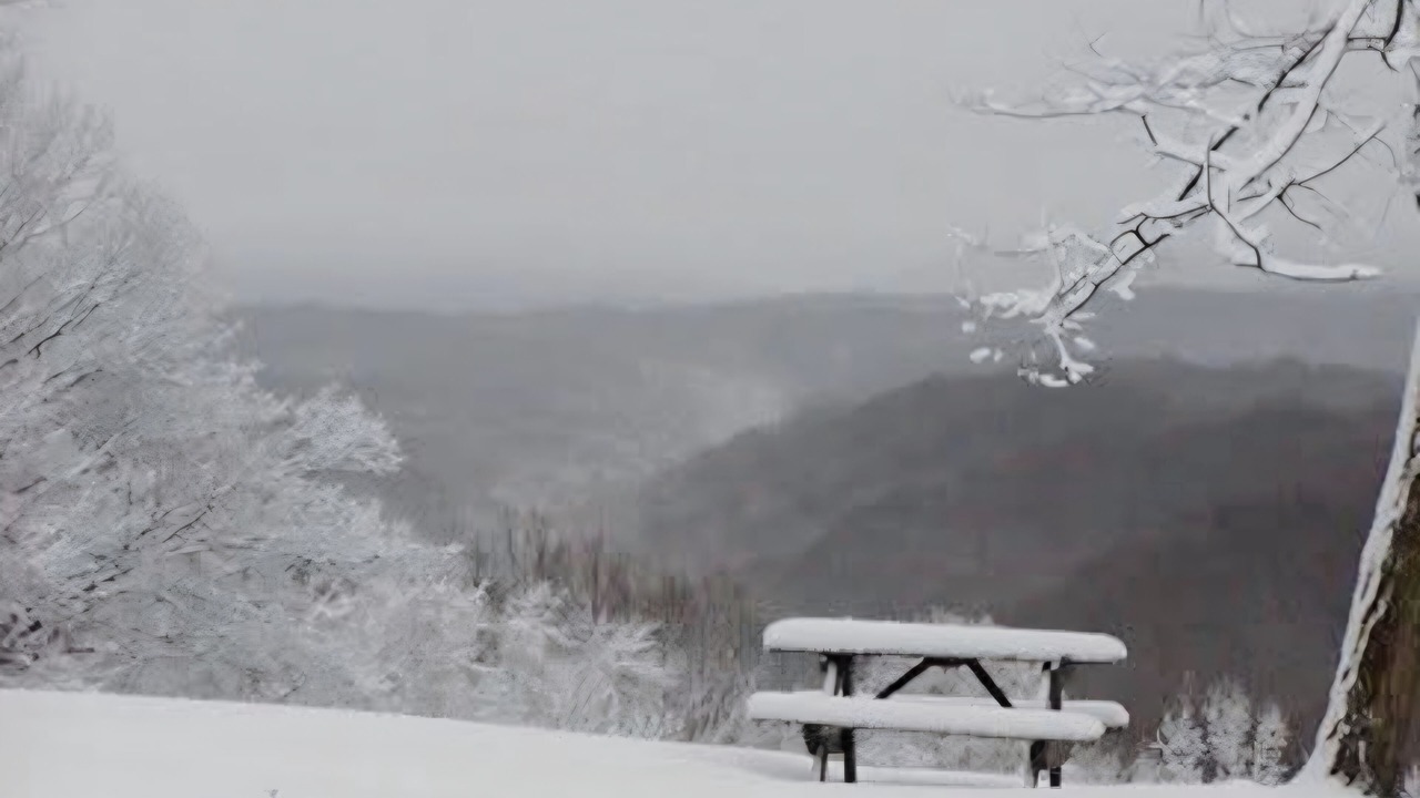 Photo of Others in Nashville