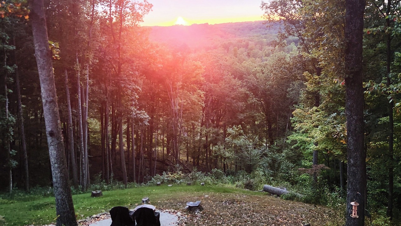 Photo of Outdoor in Nashville